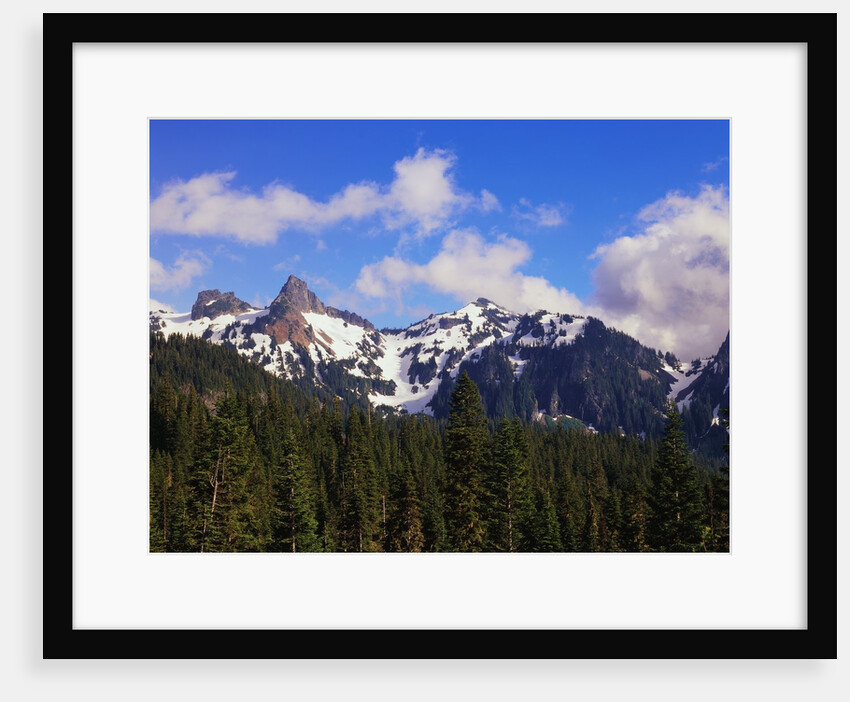 Forest and Mountain Range by Anonymous