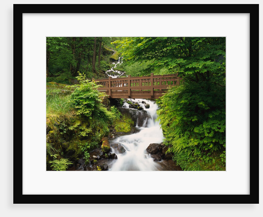 Bridge over Waterfall by Anonymous