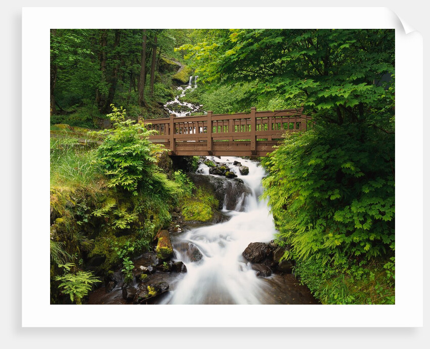 Bridge over Waterfall by Anonymous