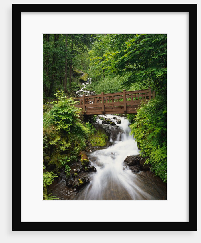 Bridge over Waterfall by Anonymous