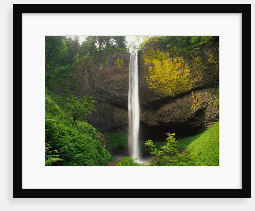 Latourell Falls by Anonymous