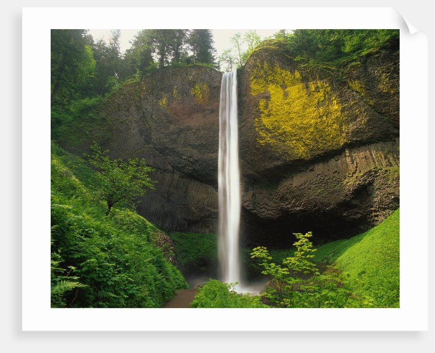 Latourell Falls by Anonymous