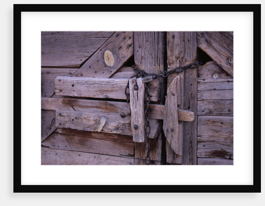 Chains and Lock on Weathered Barn Door by Anonymous