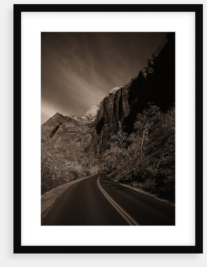 A Road in Zion National Park by Anonymous