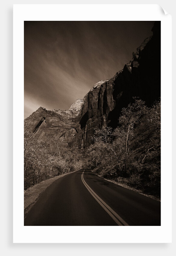 A Road in Zion National Park by Anonymous