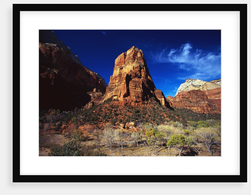 Butte in Zion National Park by Anonymous