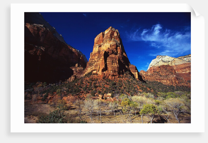 Butte in Zion National Park by Anonymous