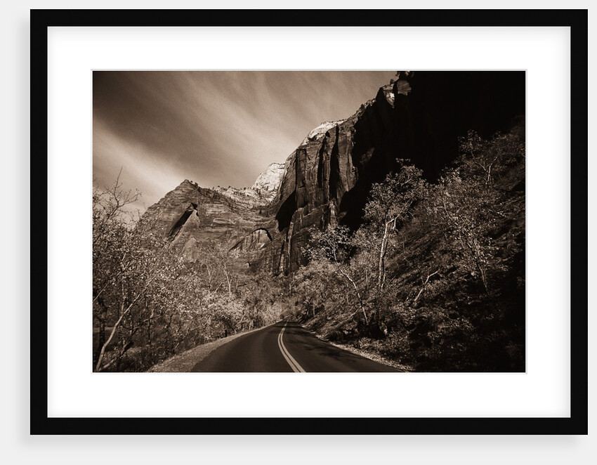 A Road in Zion National Park by Anonymous