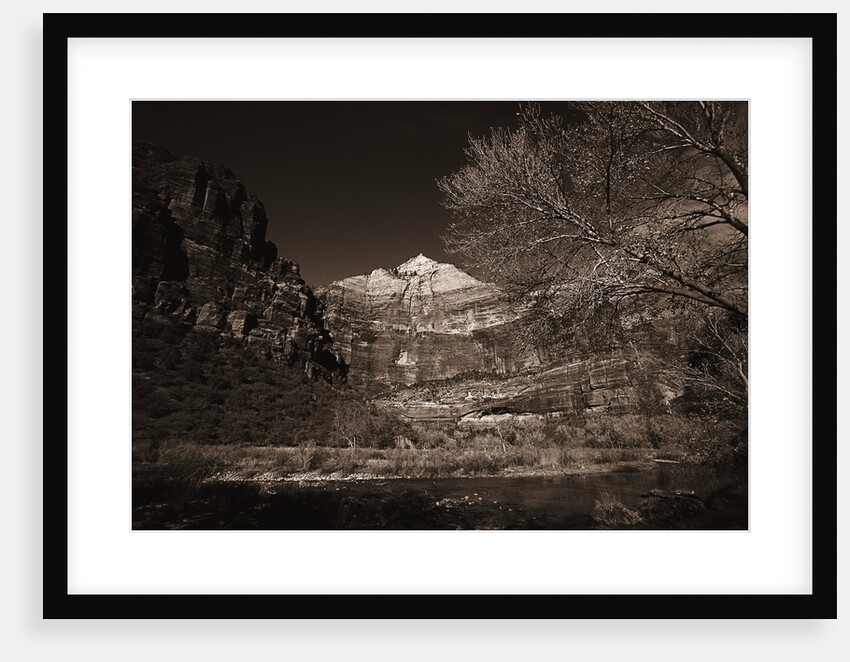 Mountains and Tree from Valley Floor by Anonymous