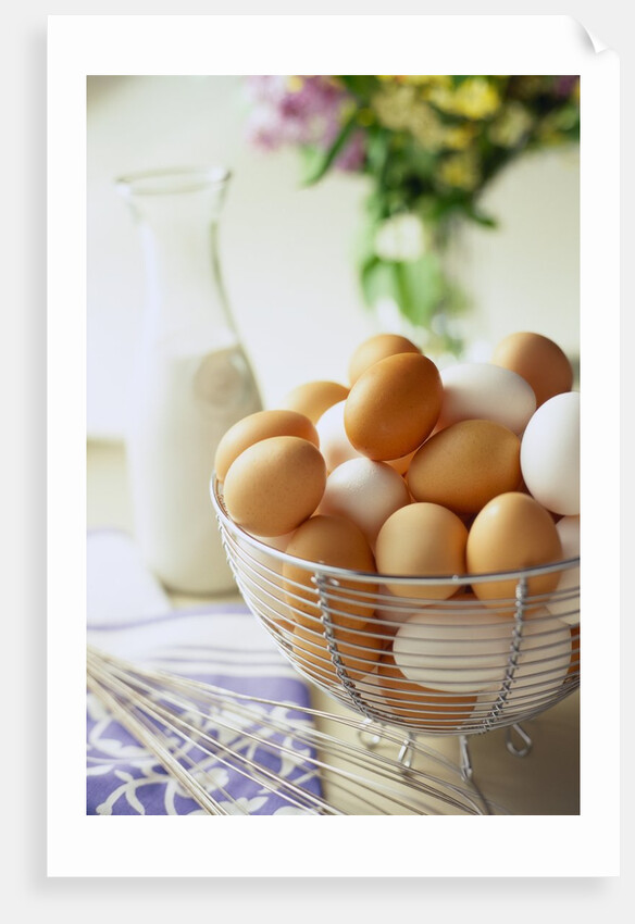 Eggs in a Metal Basket by Anonymous