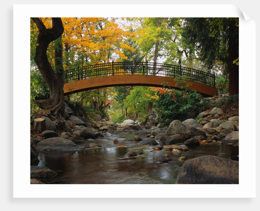 Footbridge over Stream by Anonymous