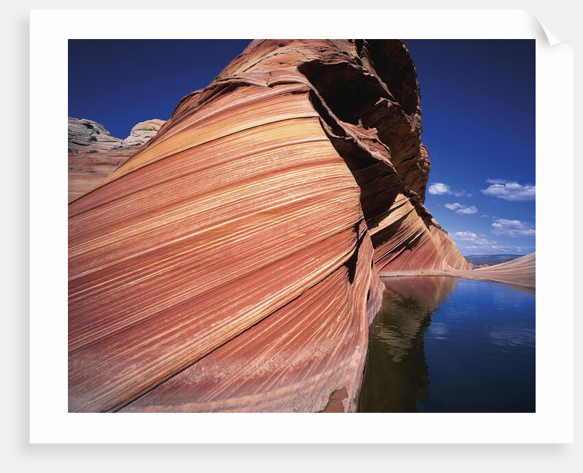 Water at Coyote Buttes by Anonymous