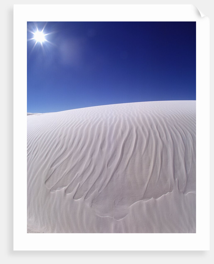 Sun Shining on Desert Sand by Anonymous