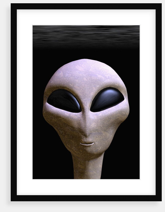 Face of an Extraterrestrial Alien by Anonymous