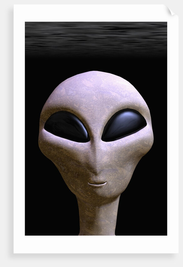 Face of an Extraterrestrial Alien by Anonymous