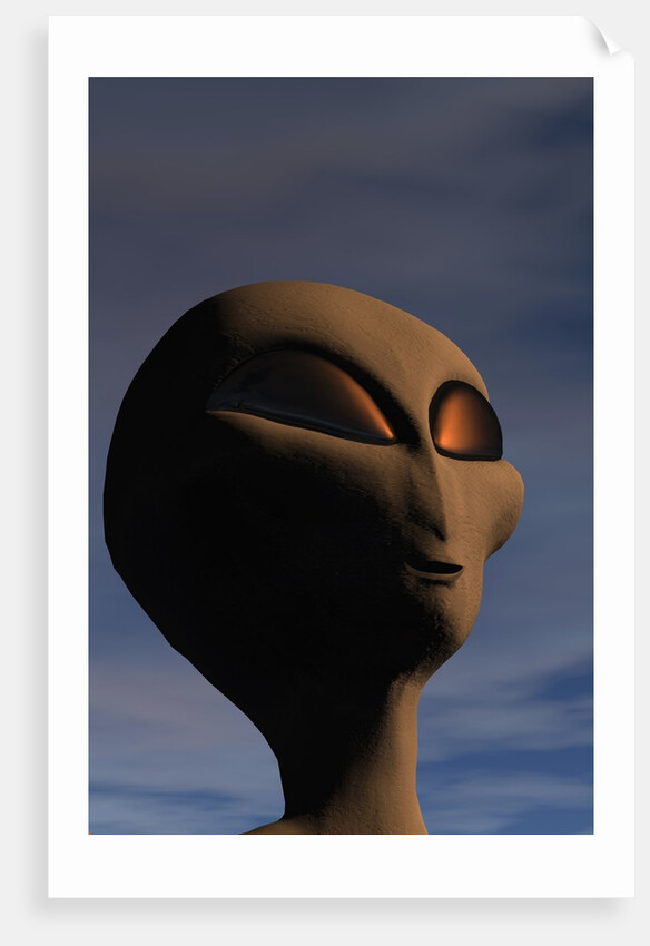 Face of an Extraterrestrial Alien by Anonymous