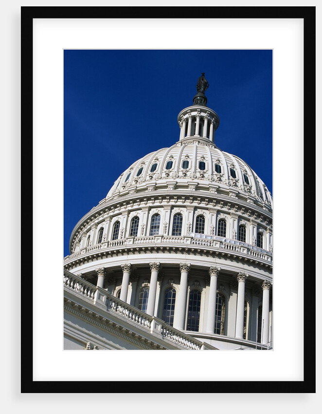 The Rotunda by Anonymous