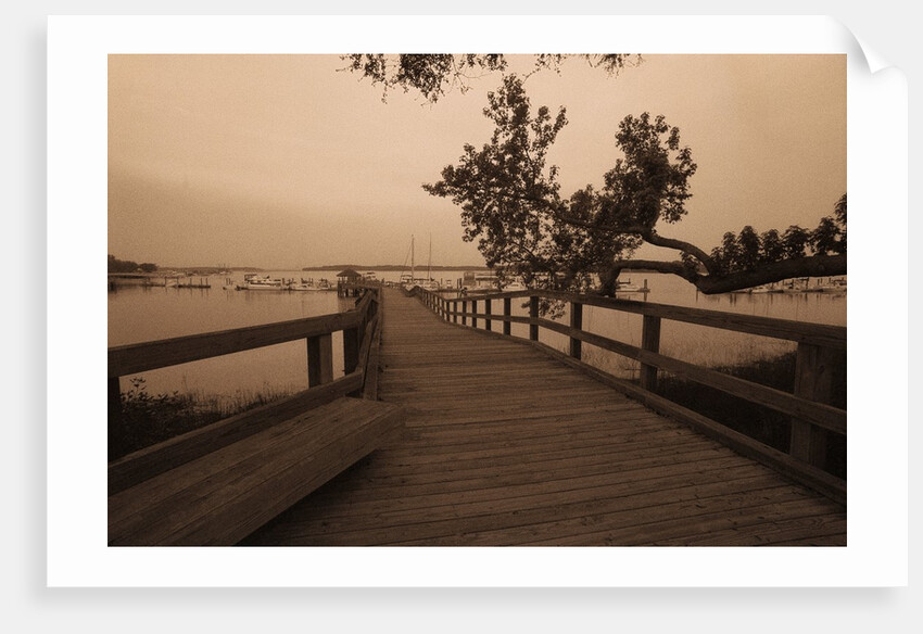 Bridge Leading to Pier by Anonymous
