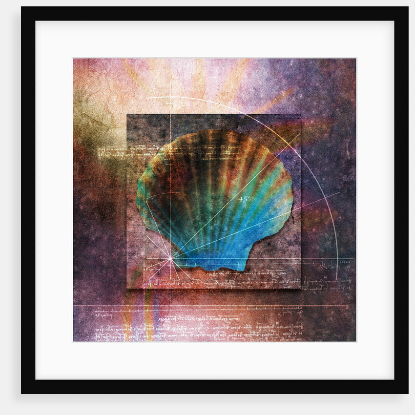 Colorful Clam Shell and Geometry by Anonymous