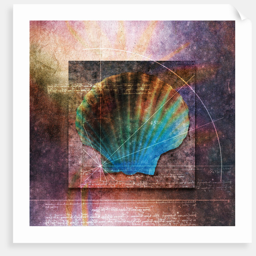 Colorful Clam Shell and Geometry by Anonymous