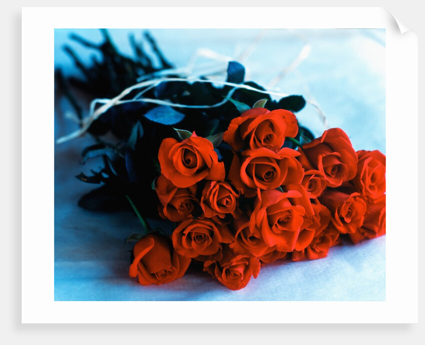 Bouquet of Roses by Anonymous