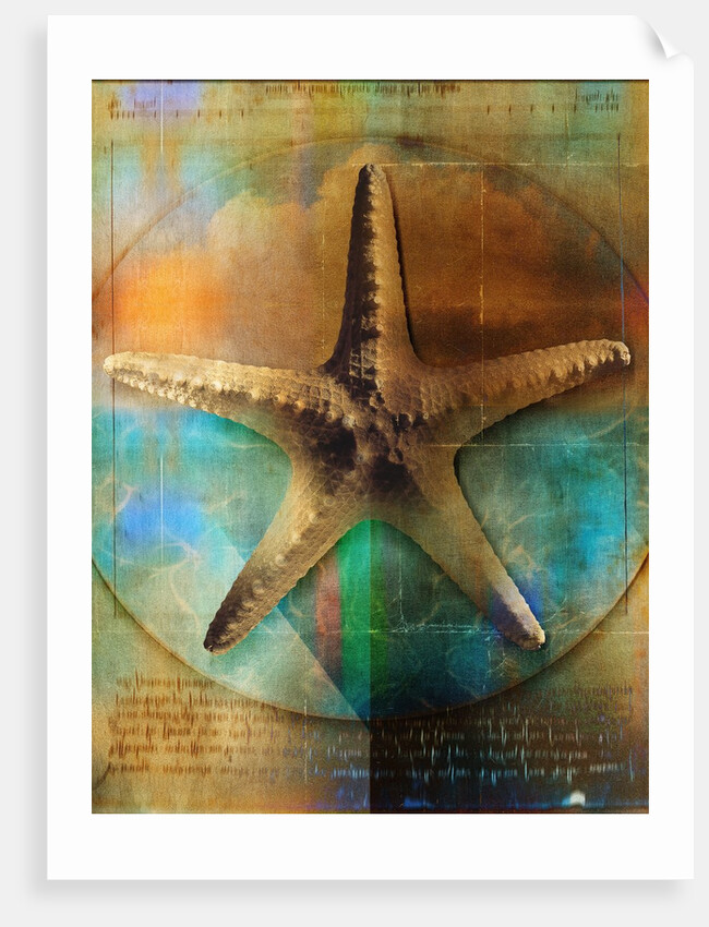 Starfish by Anonymous