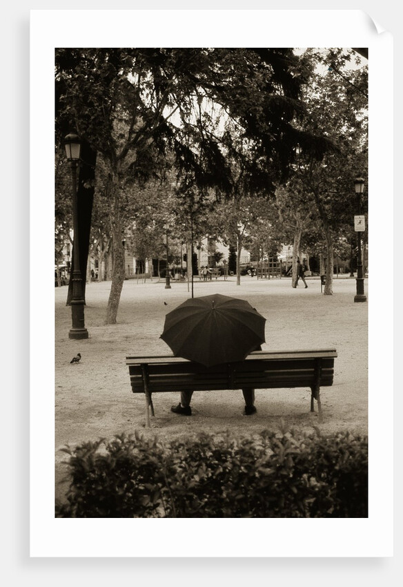 Person Under Umbrella at Madrid Park by Anonymous