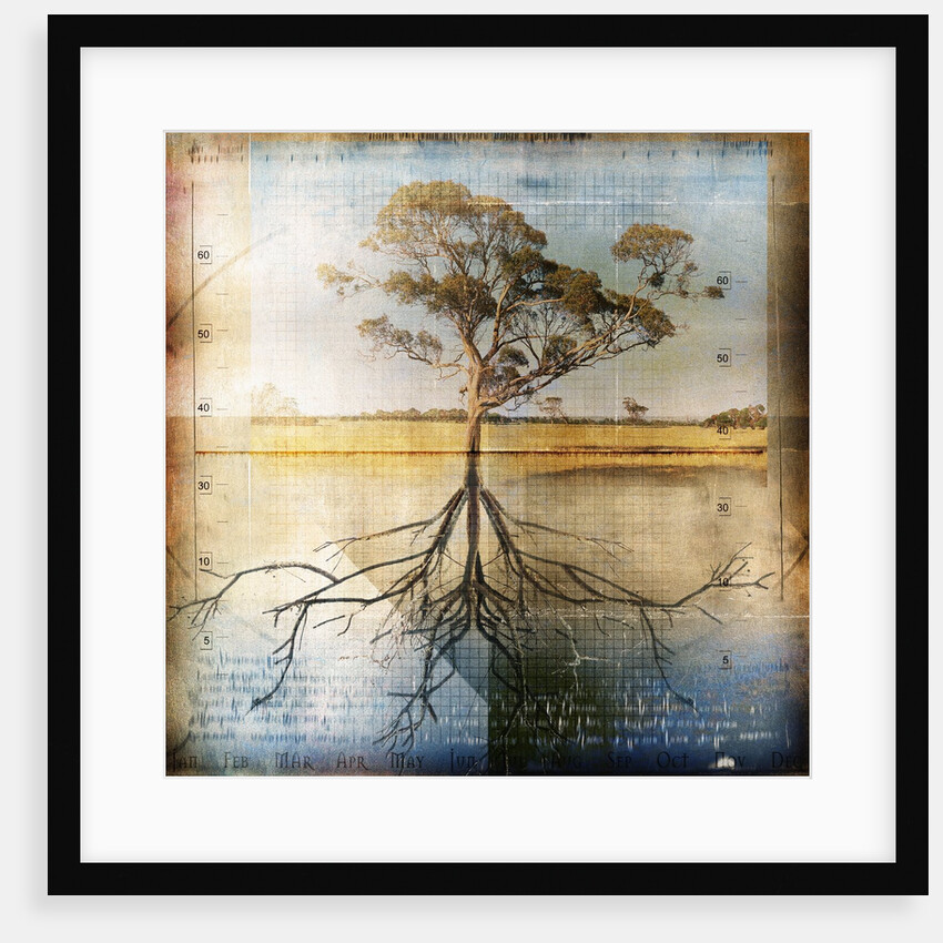Graph of Tree and Roots by Anonymous