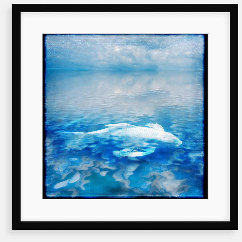 Koi and Water Reflections by Anonymous