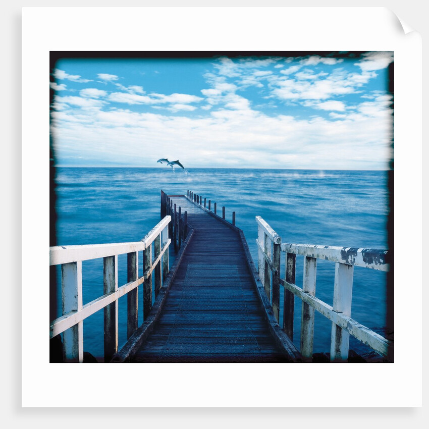 Pier and Dolphins by Anonymous