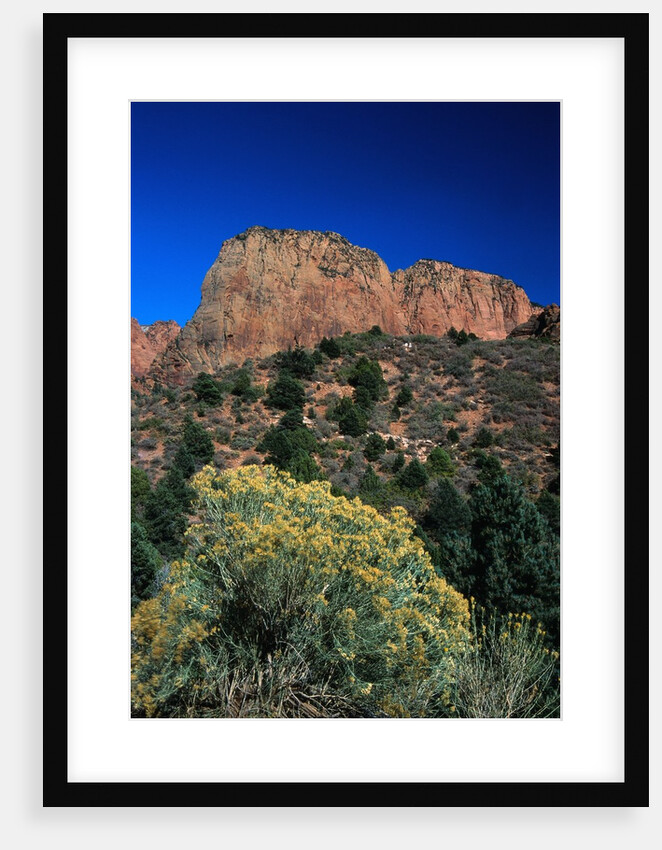 Canyons of Zion National Park by Anonymous
