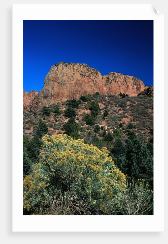 Canyons of Zion National Park by Anonymous