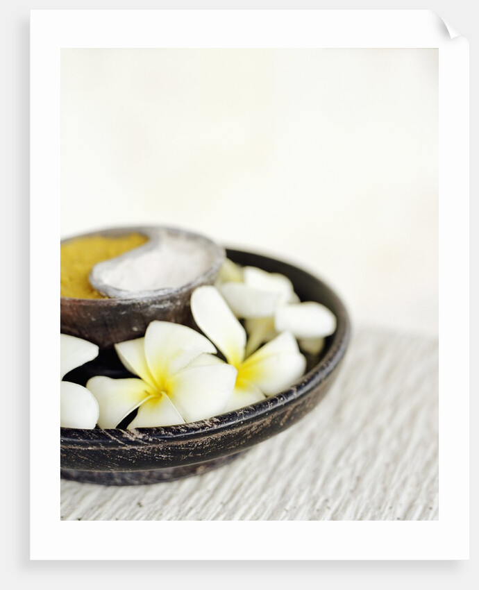 Aromatherapy Bowl of Flowers by Anonymous