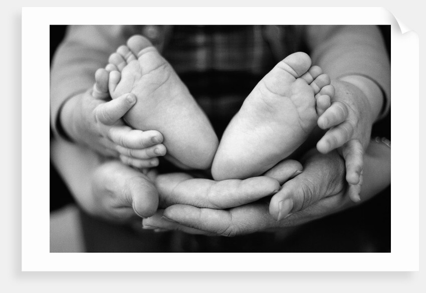 Parent and Baby's Hands and Feet by Anonymous