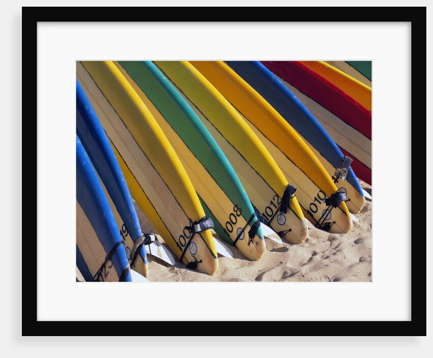 Row of Surfboards at Beach by Anonymous