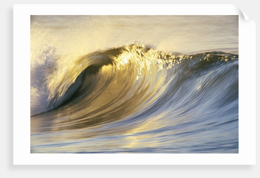 Ocean Wave Breaking by Anonymous