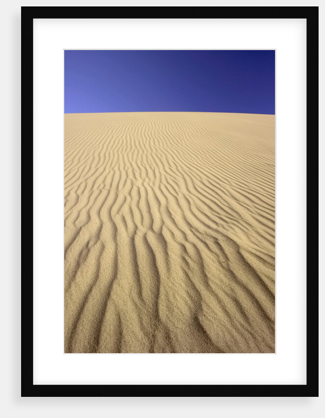Windblown Sand Dune by Anonymous