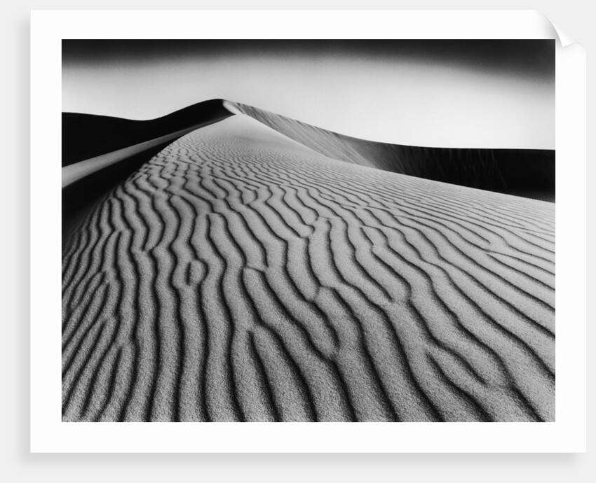 Nevada Desert Dunes by Anonymous