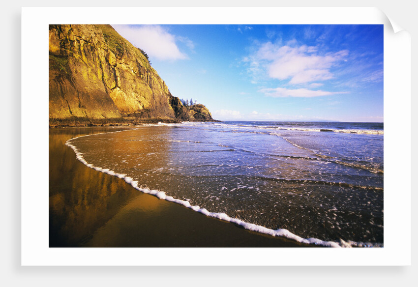 Cape Disappointment by Anonymous