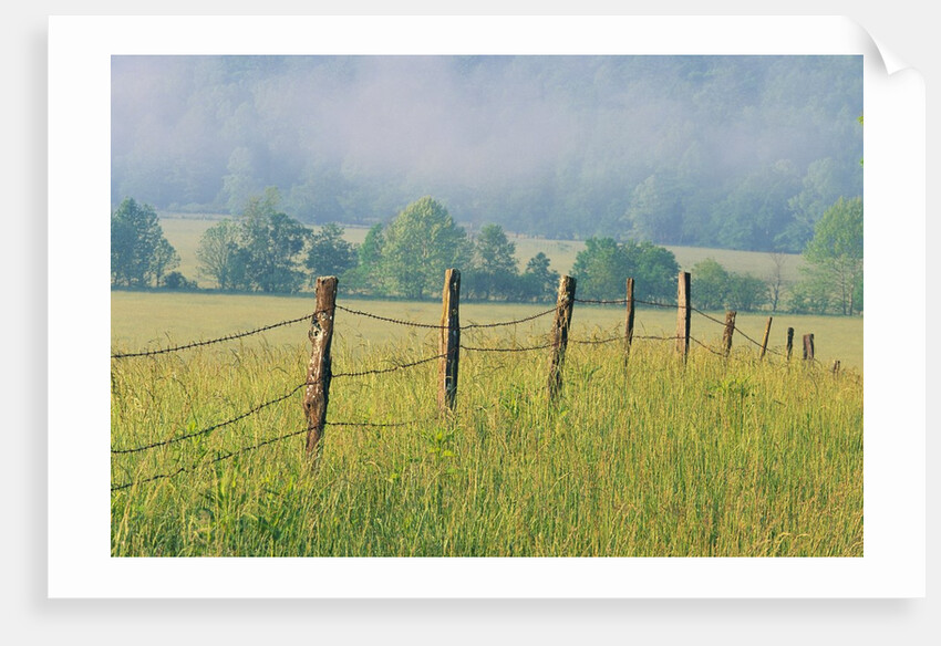 Rural Fence by Anonymous