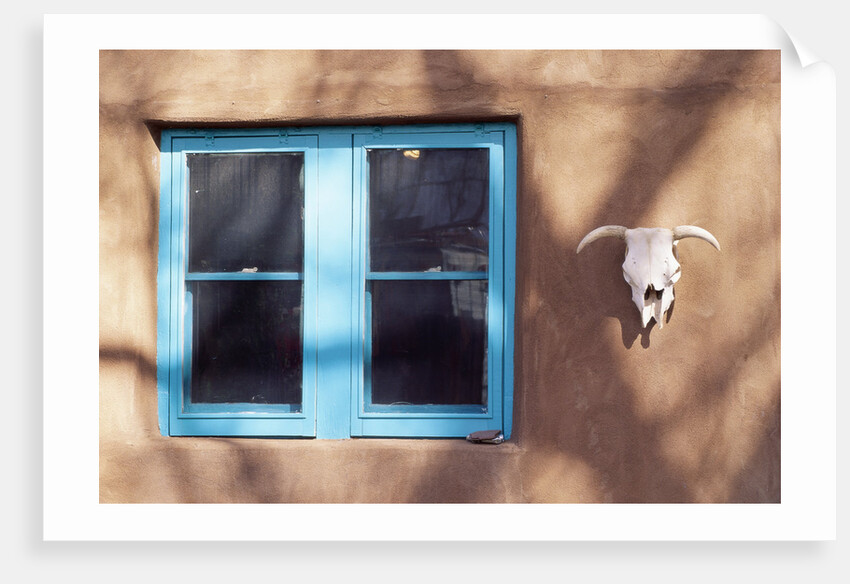 Skull and Window on Adobe Building by Anonymous