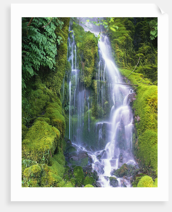 Waterfall by Anonymous