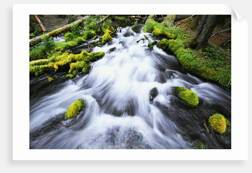 Rushing Stream by Anonymous