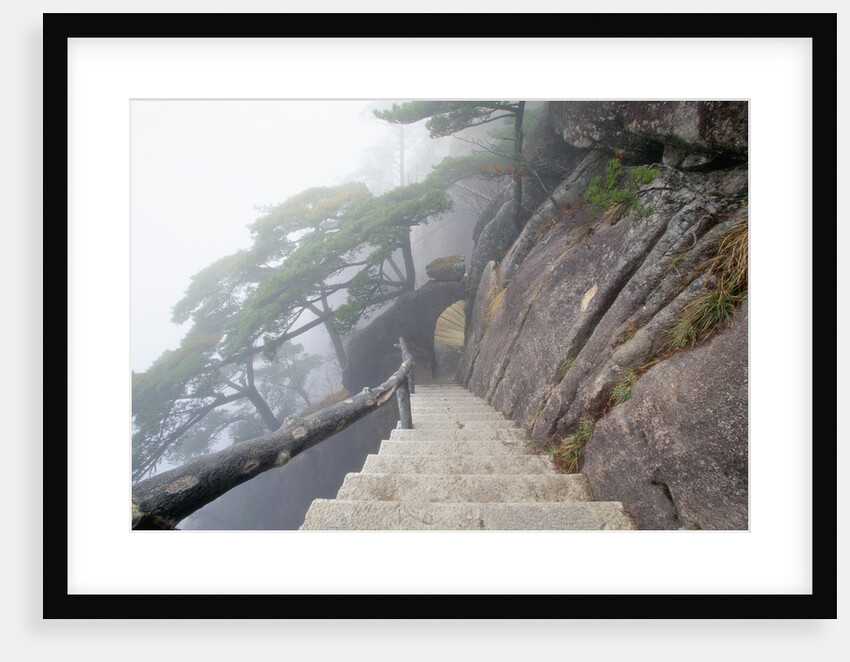 Hillside Path in China's Yellow Mountains by Anonymous