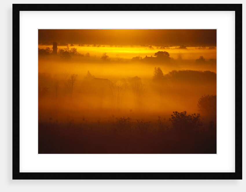 Early Morning Mist by Anonymous