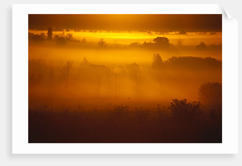 Early Morning Mist by Anonymous