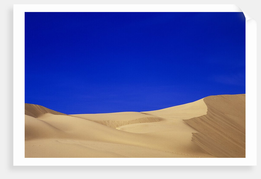 Sand Dunes by Anonymous