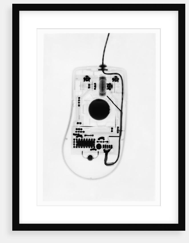 X-Ray of a Computer Mouse by Anonymous