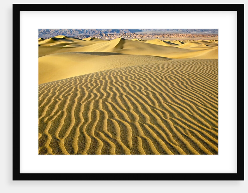 Sand Dunes by Anonymous