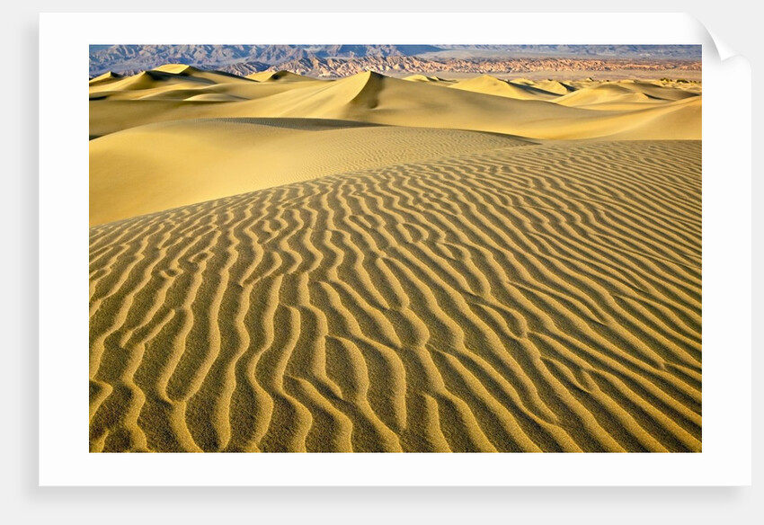 Sand Dunes by Anonymous